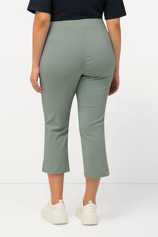 Ulla Popken Slimfit Broek in Groen