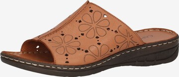 CAPRICE Mules in Brown: front