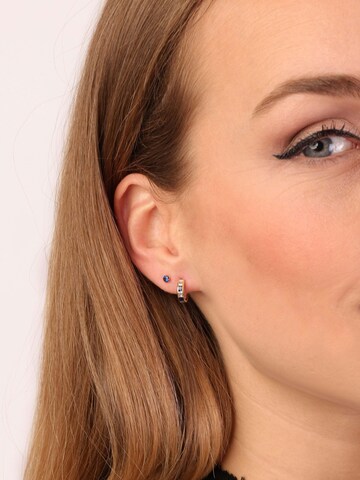 Lucardi Earrings 'Klassisch' in Gold