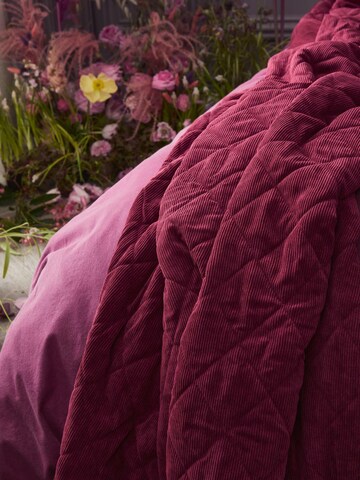 ESSENZA Blankets 'Billie' in Red