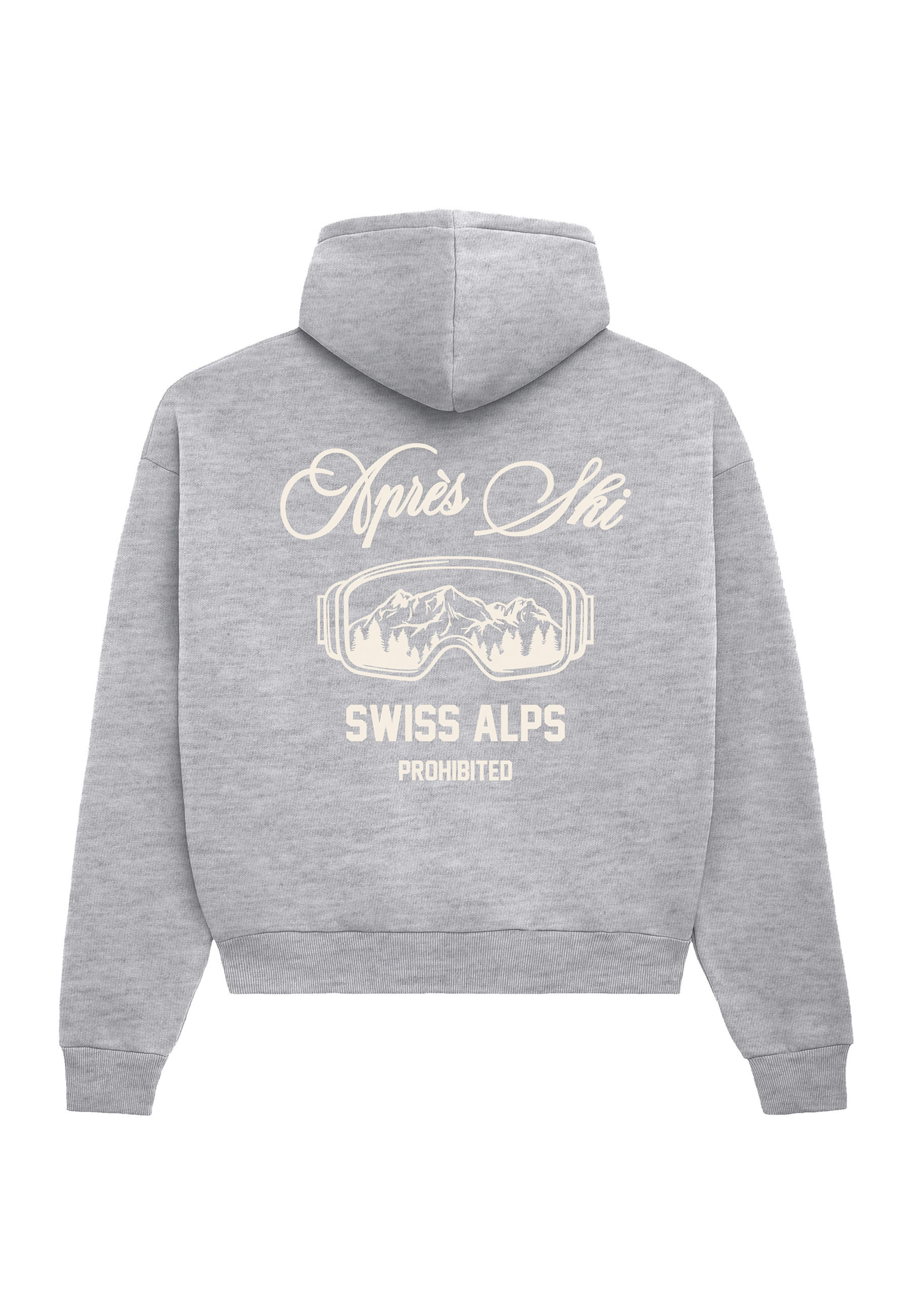 Sweat-shirt 'Après Ski' Prohibited en gris : derrière