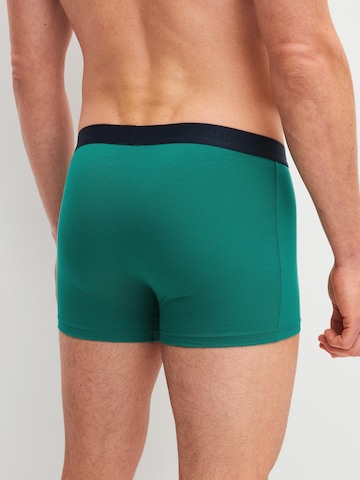 Boxer 'Cotton Special' di CALIDA in verde