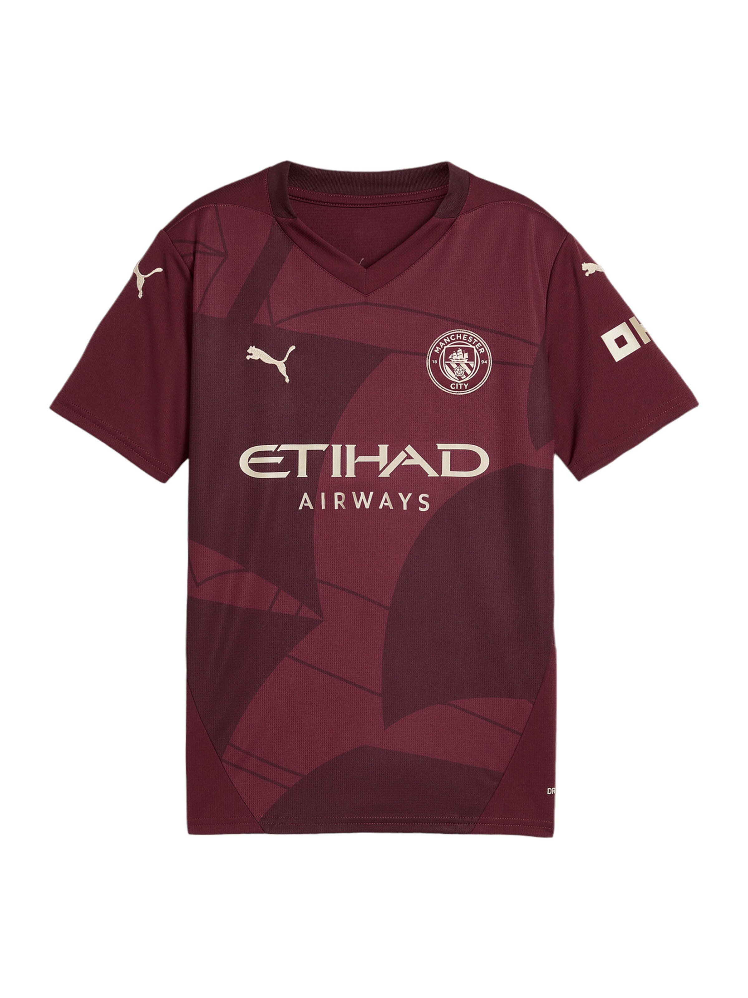 PUMA Functioneel shirt 'Manchester City 24/25' in Rood: voorkant