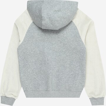 Nike Sportswear Sweatshirt 'AMPLIFY' i grå