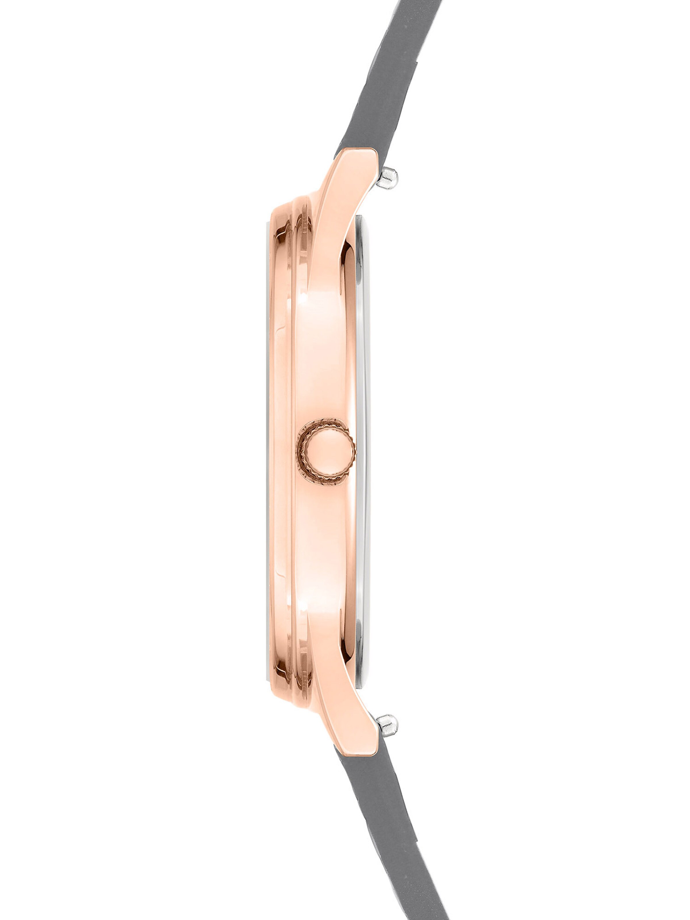 Liebeskind Berlin Analog watch in Grey