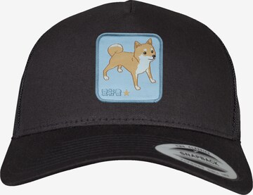 F4NT4STIC Cap 'Shiba Inu' in Black: front