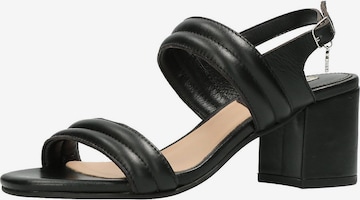MEXX Strap Sandals 'Josephine' in Black: front