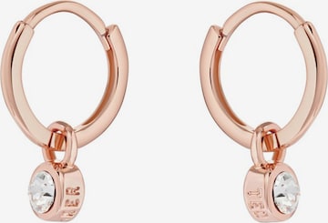 Ted Baker Oorbellen 'SINALAA' in Goud