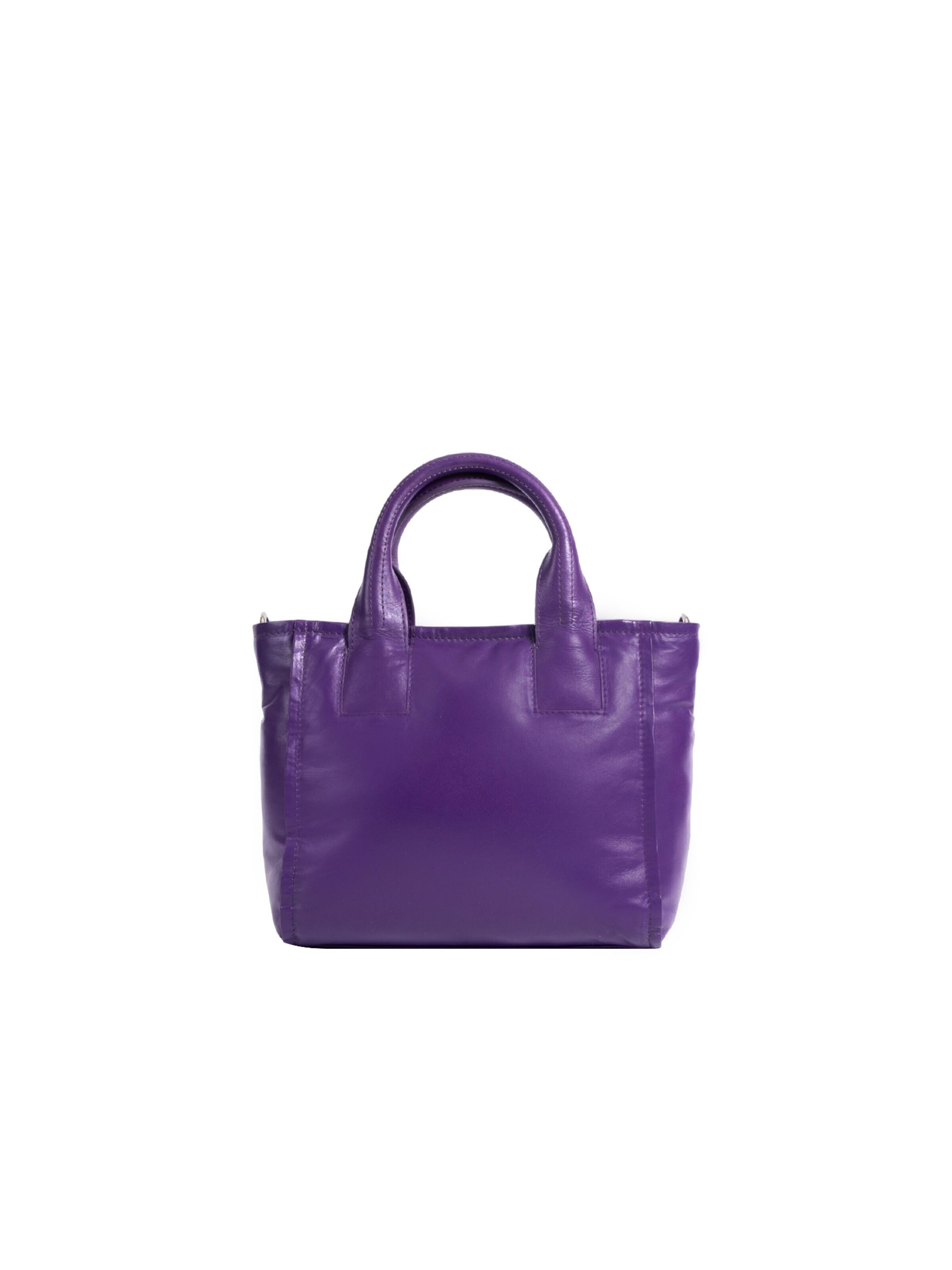 Clio Handbag in Purple