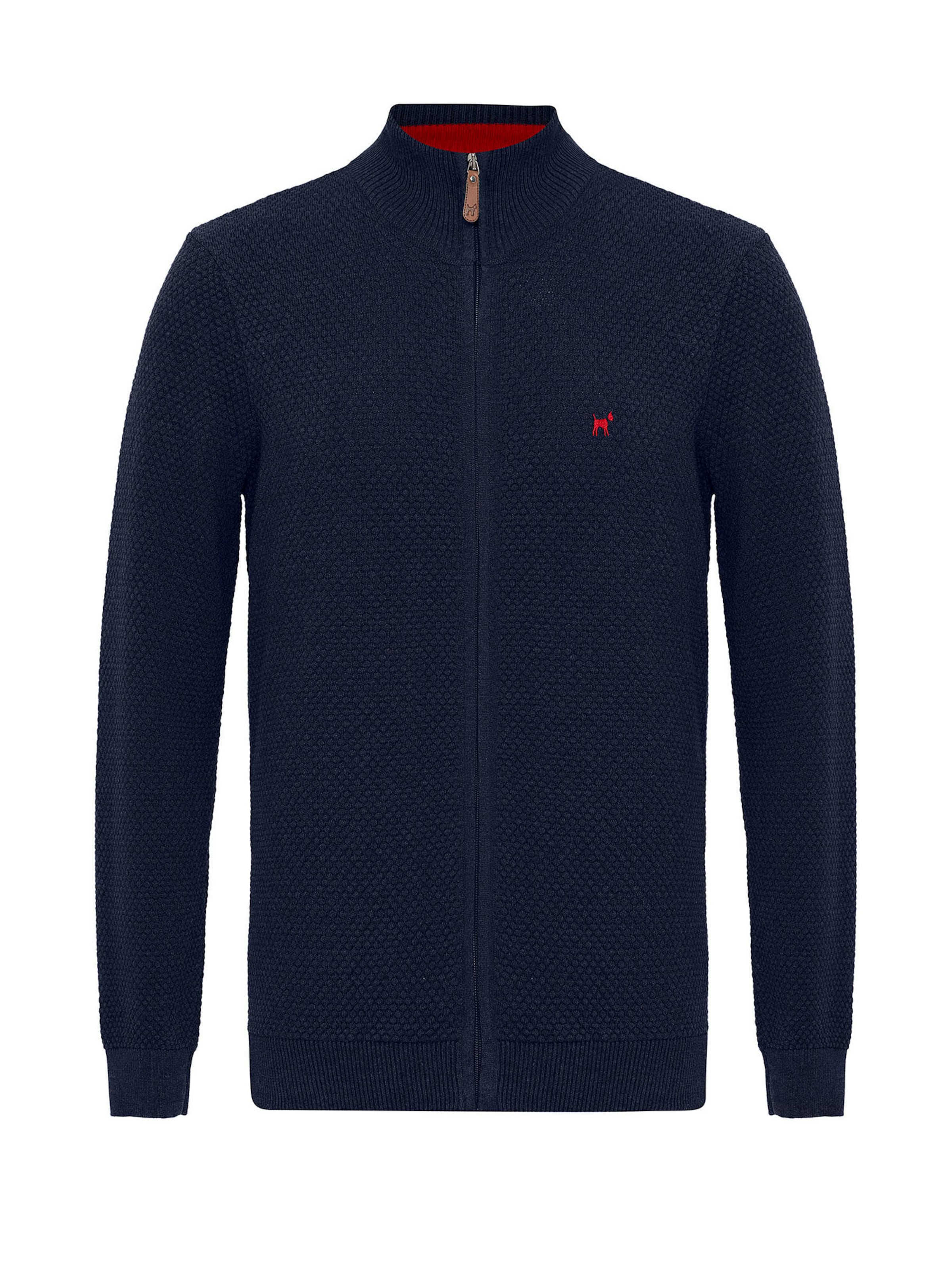 Williot Вязаная кофта в Синий: спереди