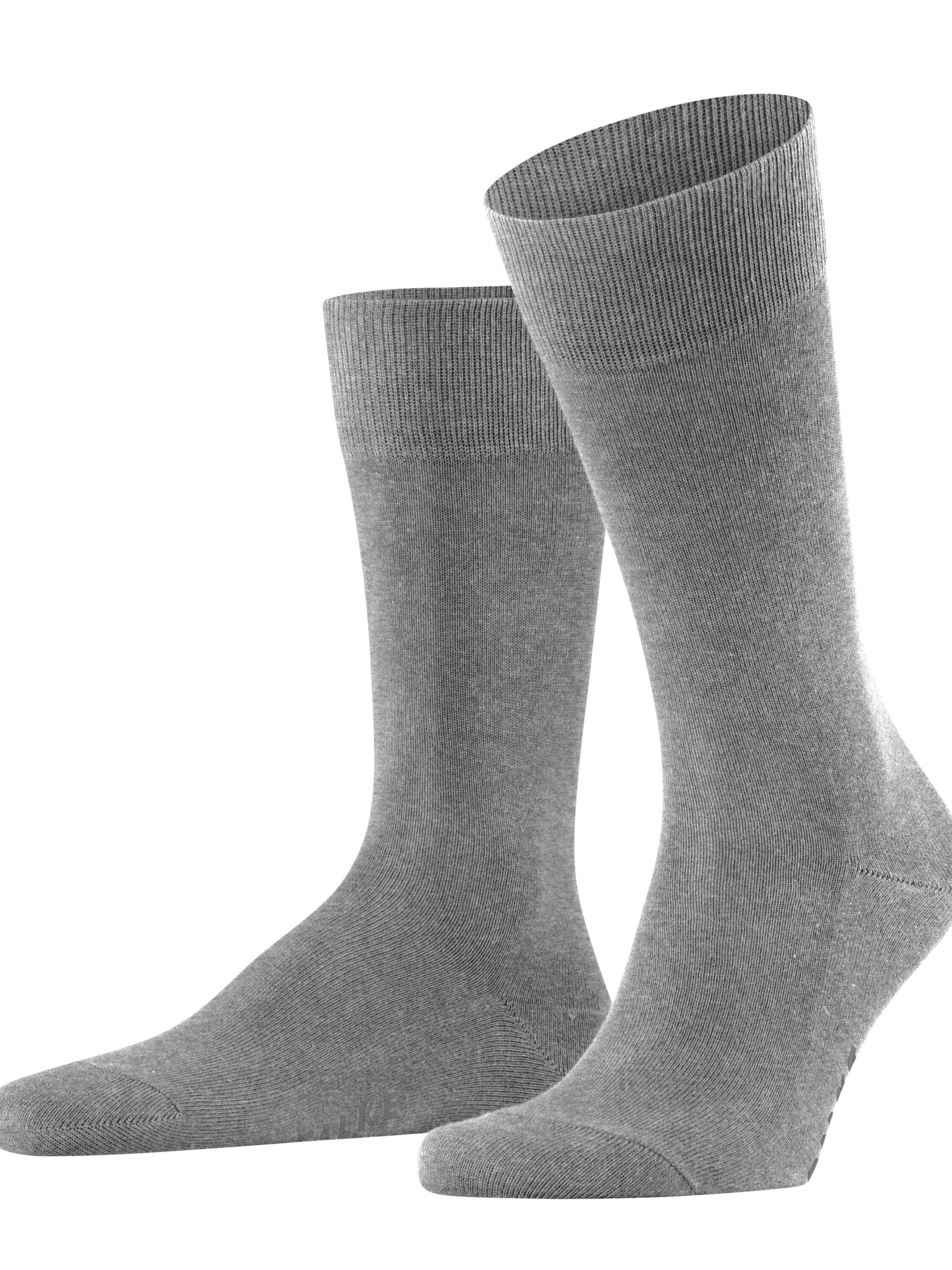 FALKE Socks 'Family' in Grey: front