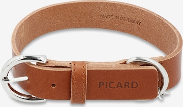 Picard Hundehalsband 'Collar' in Braun: predná strana