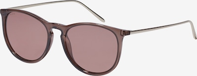 Pilgrim Aurinkolasit 'VANILLE' värissä ruskea, Tuotenäkymä