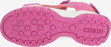 Sandales GEOX en rose