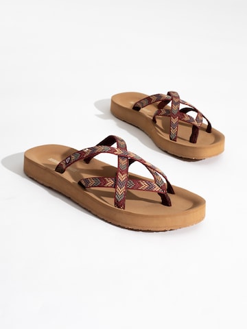 Tongs 'Hanna' Minnetonka en marron