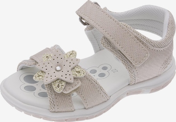 Chicco Sandaalit 'Fecola' värissä kulta: etupuoli