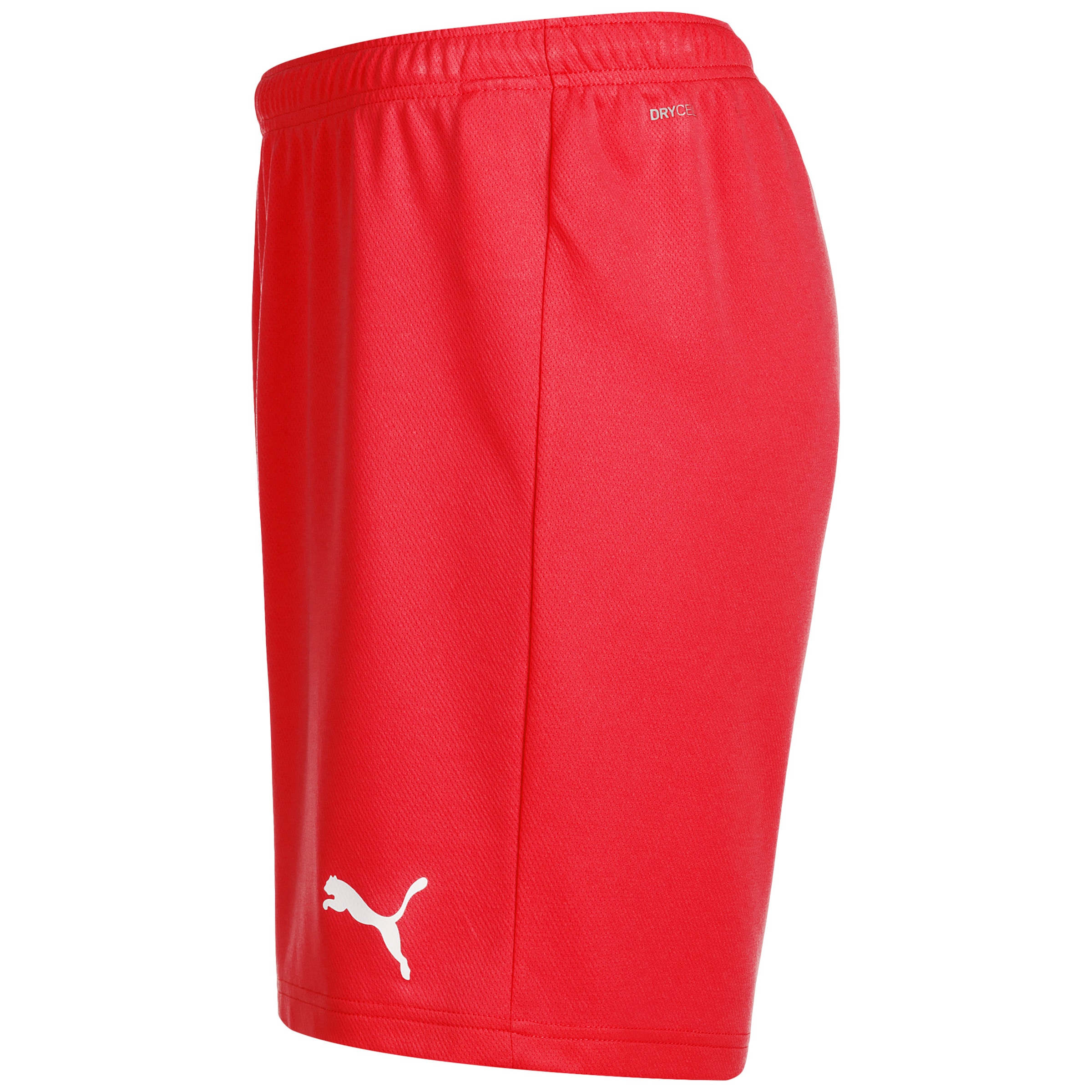 PUMA Regular Sportbroek 'TeamRise' in Rood
