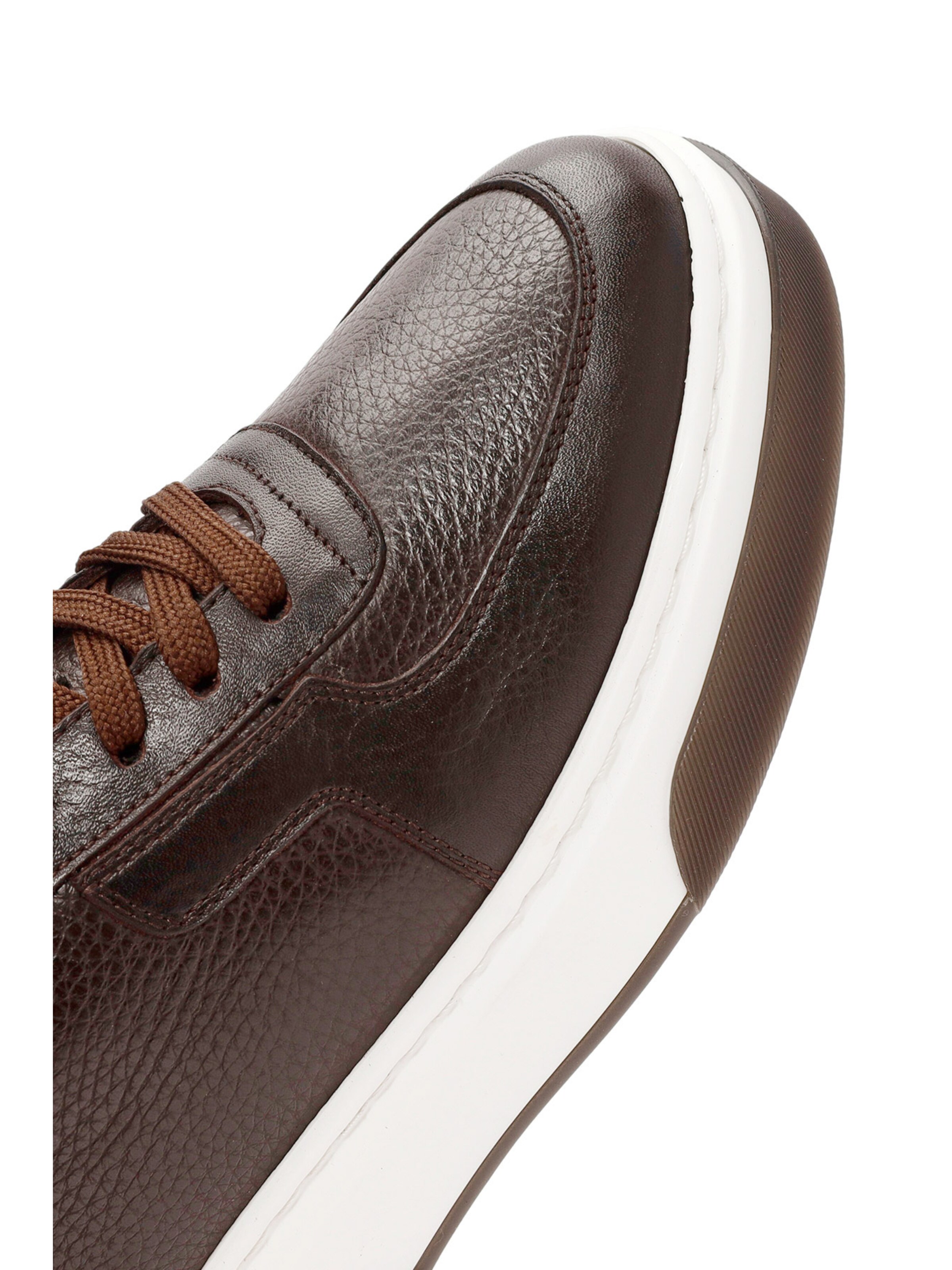 Derimod Sneakers in Brown