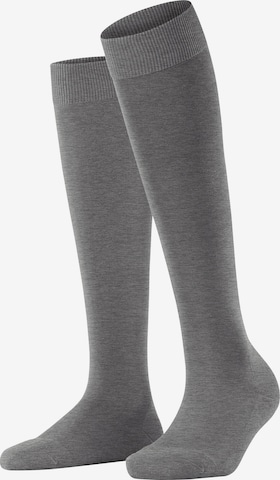 FALKE Knee High Socks 'ClimaWool' in Grey: front