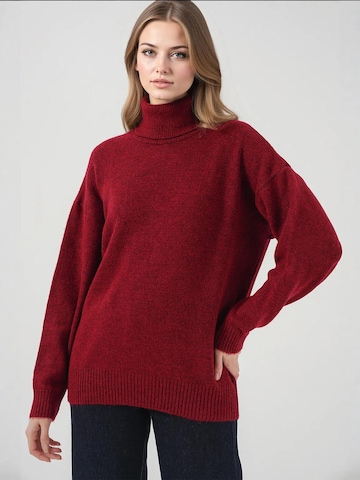 Bigdart Trui in Rood: voorkant