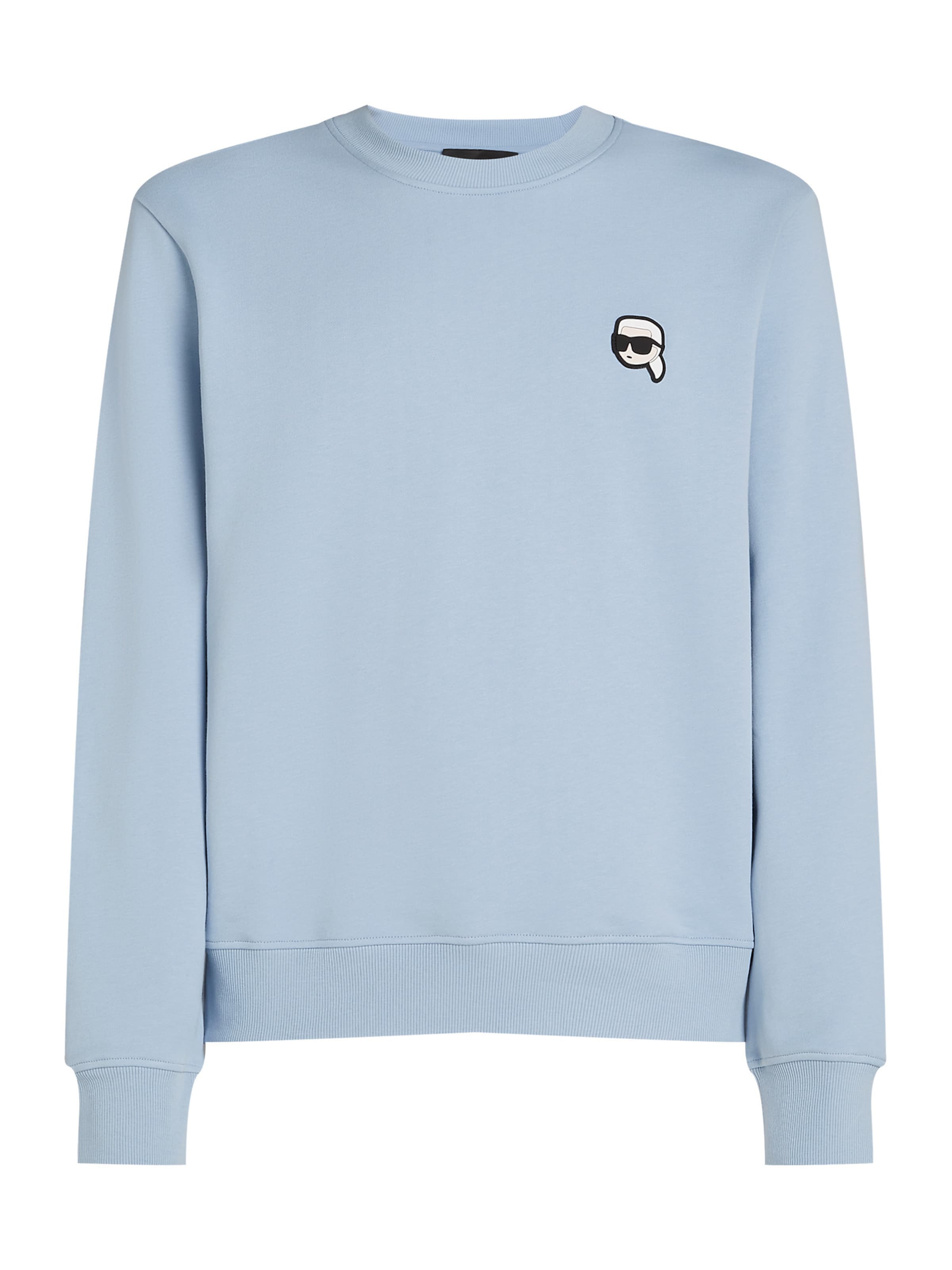 Karl Lagerfeld Свитшот в Синий: спереди