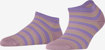 FALKE Füßlinge 'Smart Stripe' in Pink: Vorderseite