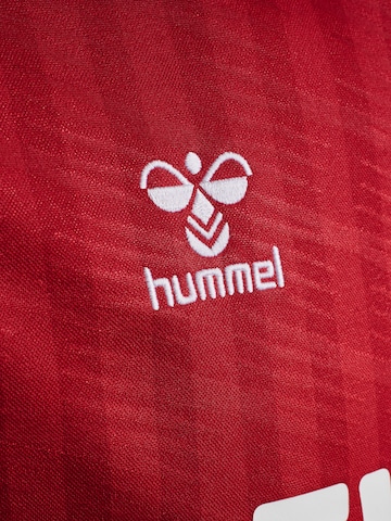 Maillot '1. FC Köln 25/26' Hummel en rouge