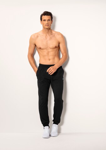 KangaROOS Tapered Pants in Black