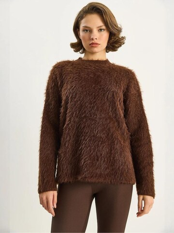 Bianco Lucci Pullover in Braun: Vorderseite