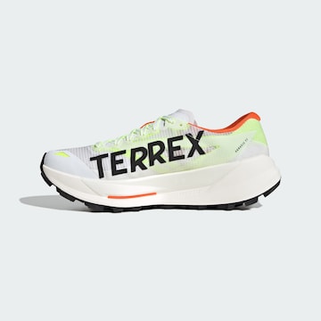 ADIDAS TERREX Running shoe 'Agravic TT' in White