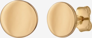 caï Earrings in Gold: front