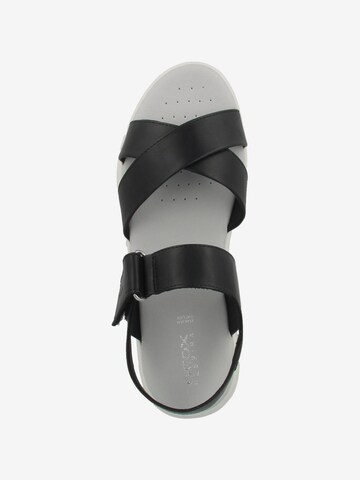 GEOX Sandalen met riem in Zwart