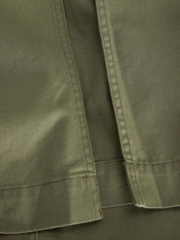 JJXX Rok in Groen