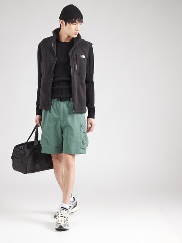 THE NORTH FACE - Loosefit Pantalón cargo en verde