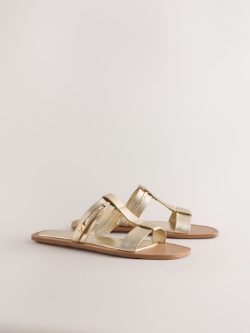 Mule Next en or