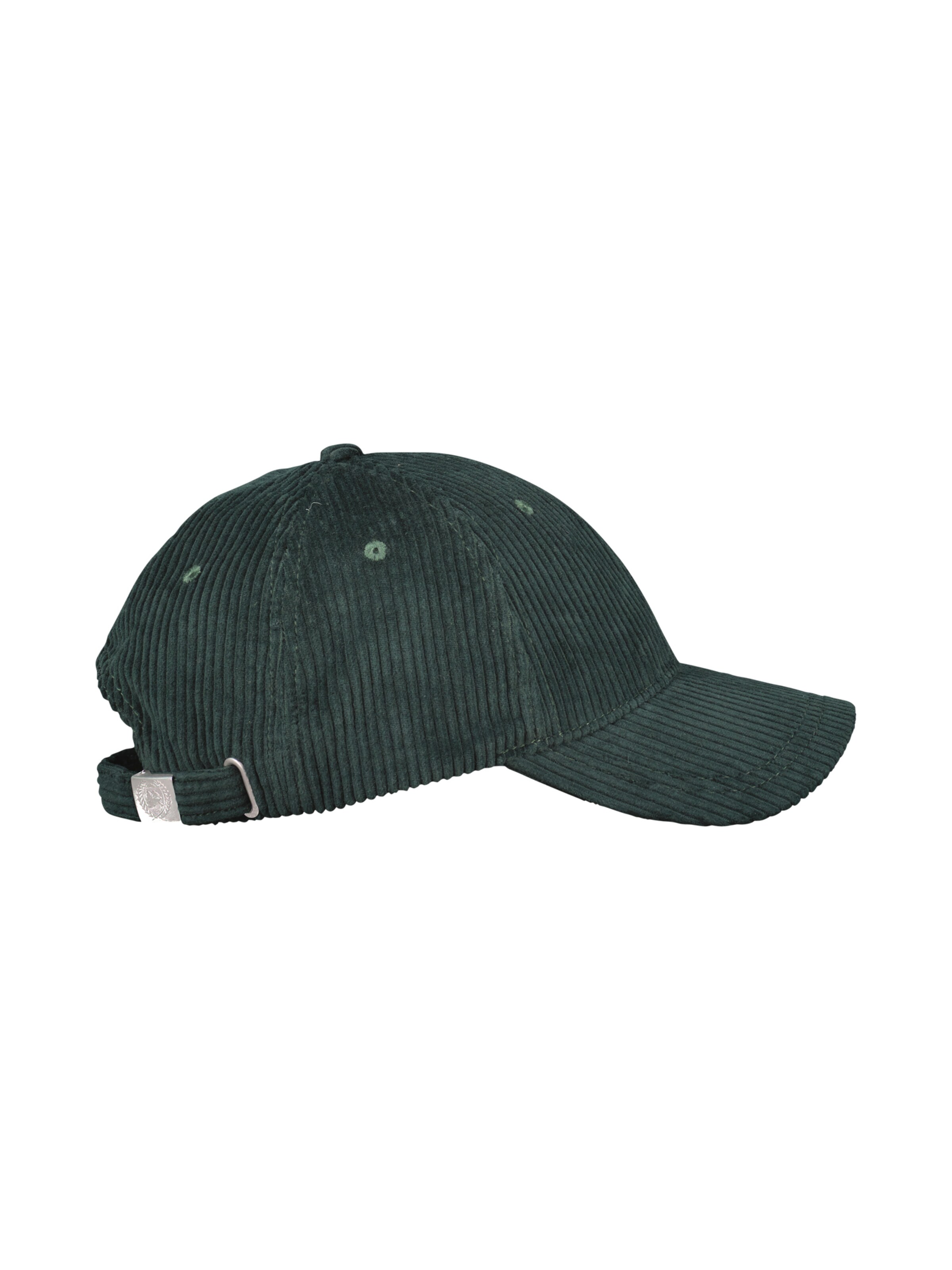 LERROS Cap in Green