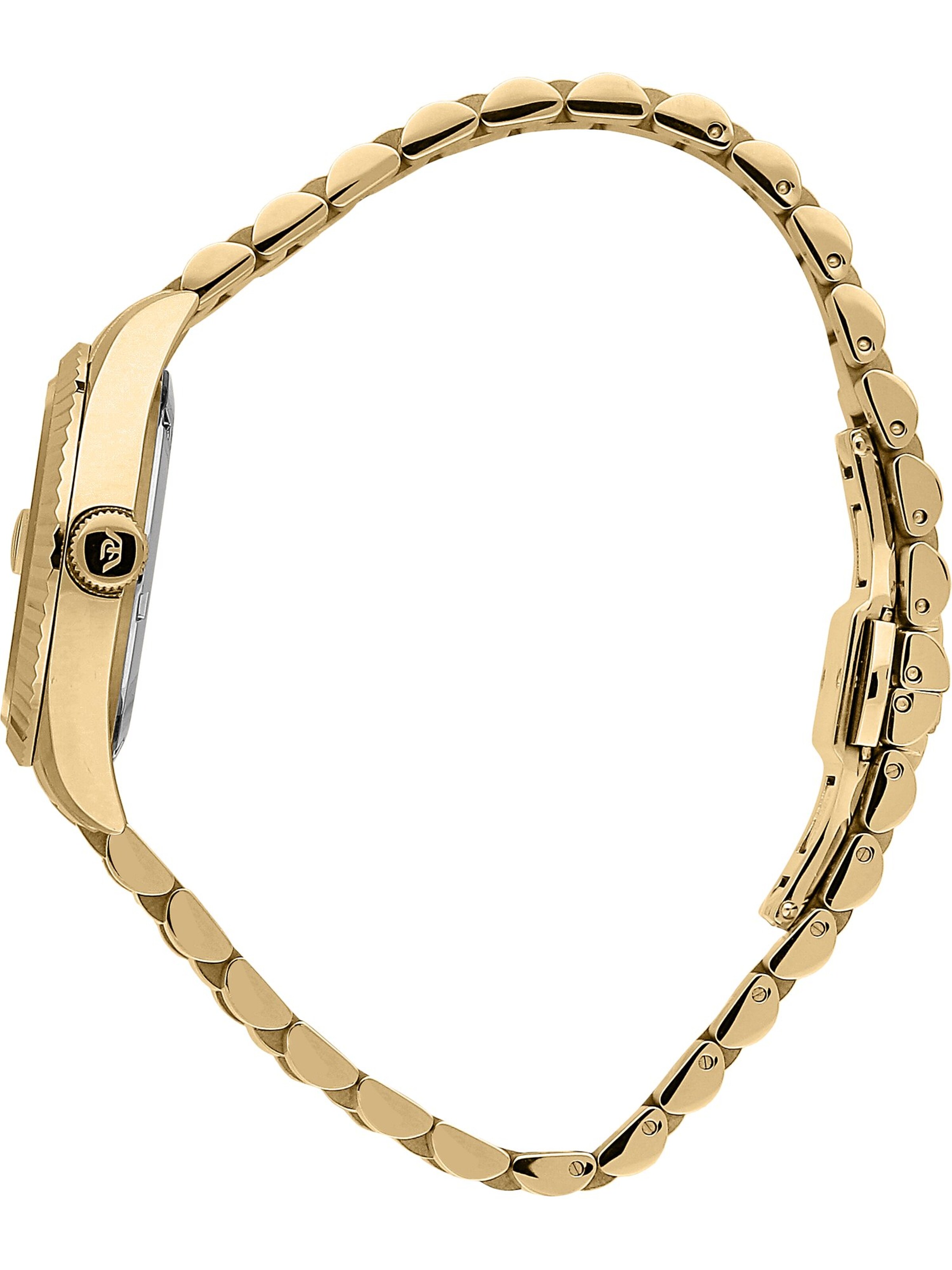 Philip Watch Analog Watch in Gold