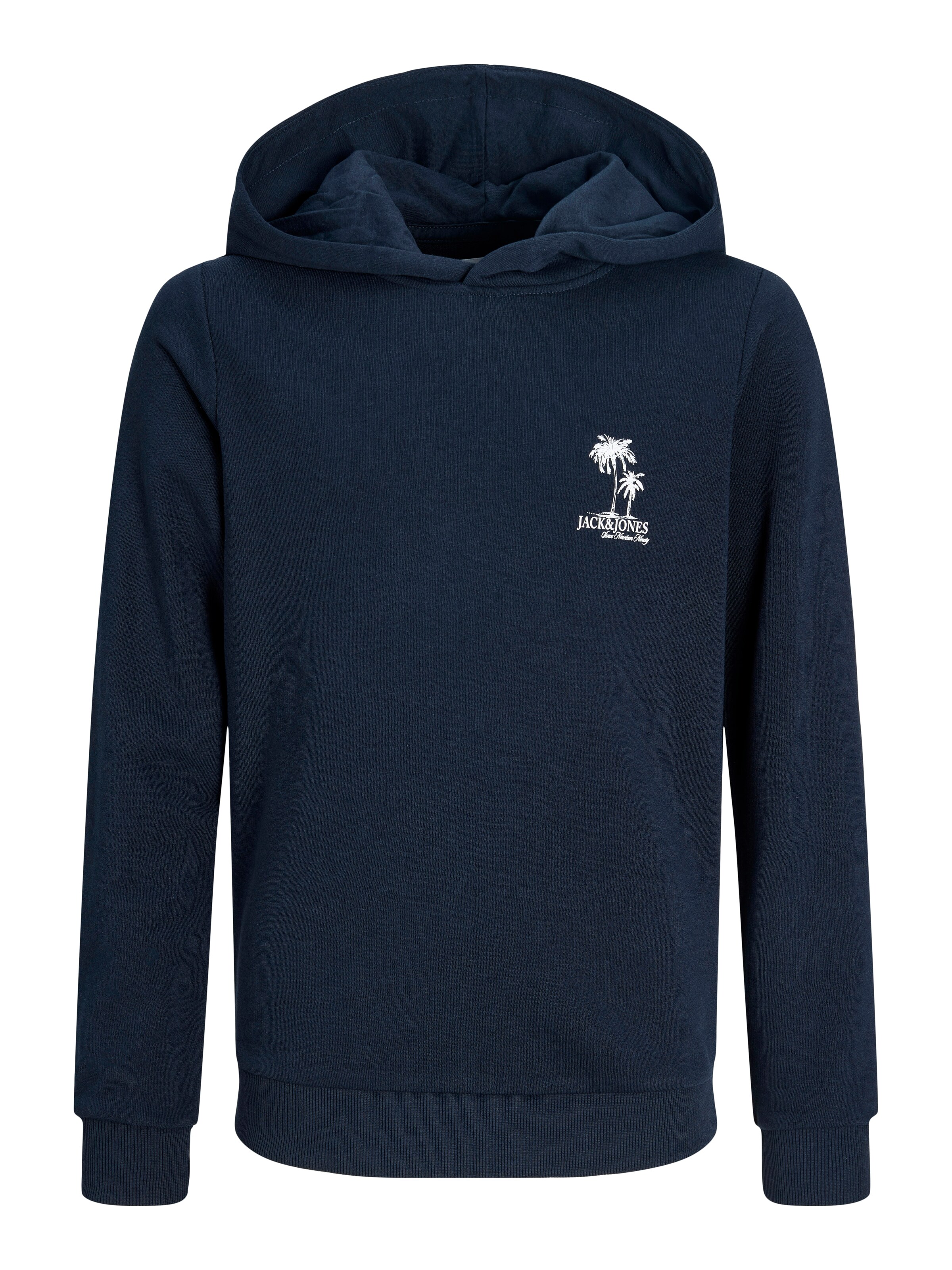 Jack & Jones Junior Sweatshirt in Blue: front