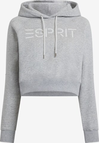 ESPRIT Sweatshirt in Grau: predná strana