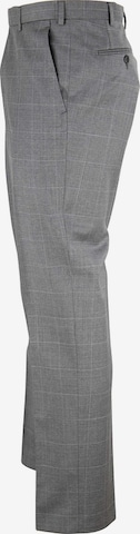 Digel Regular Pleated Pants in Grey