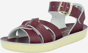 Salt-Water Sandals Босоножки 'Claret' в Красный: спереди