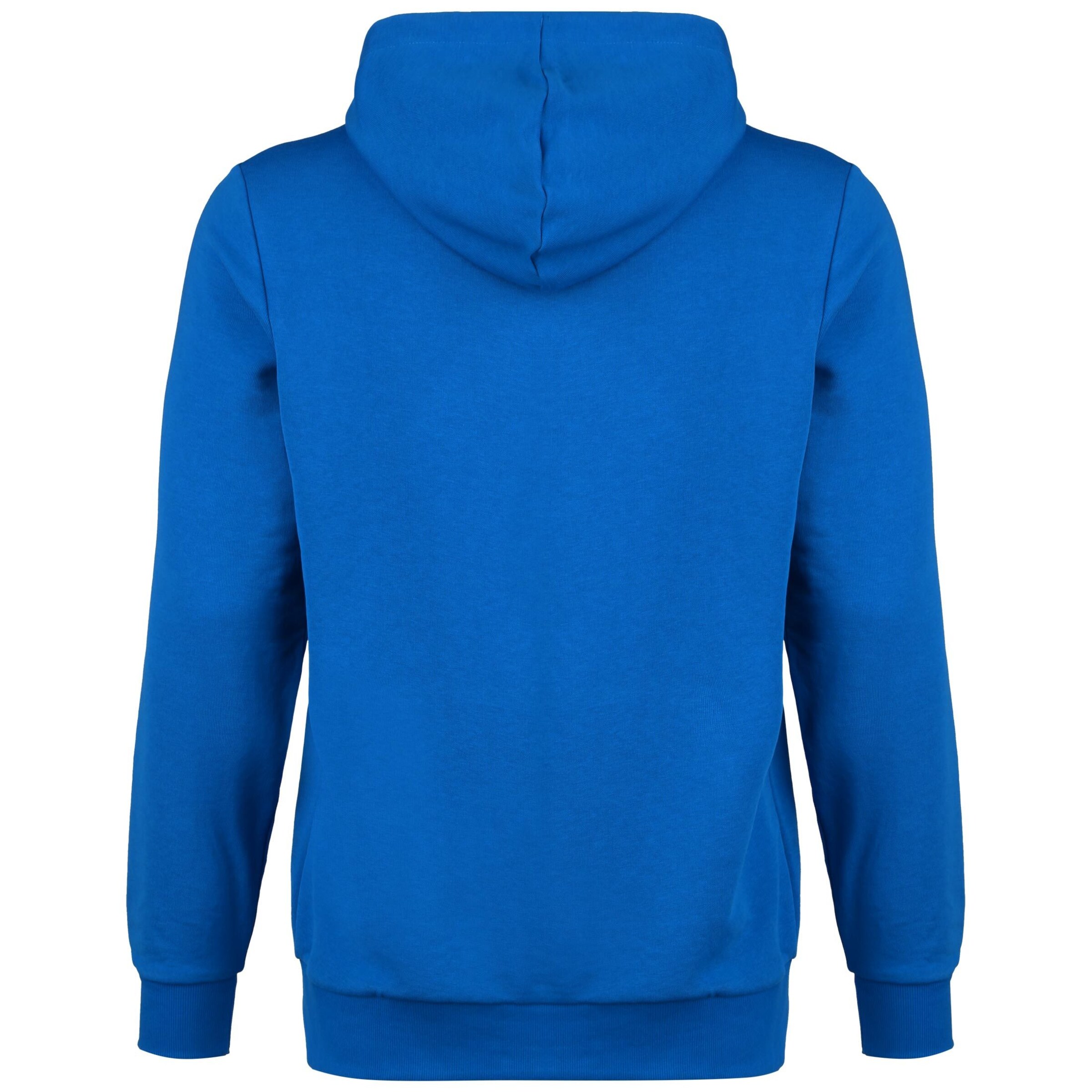 PUMA Sportsweatshirt 'Team Goal 23' in Blau