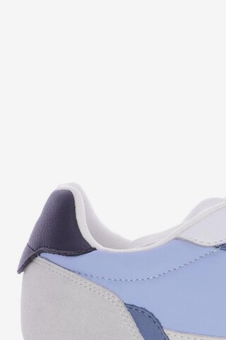 TOMMY HILFIGER Sneakers & Trainers in 42 in Blue