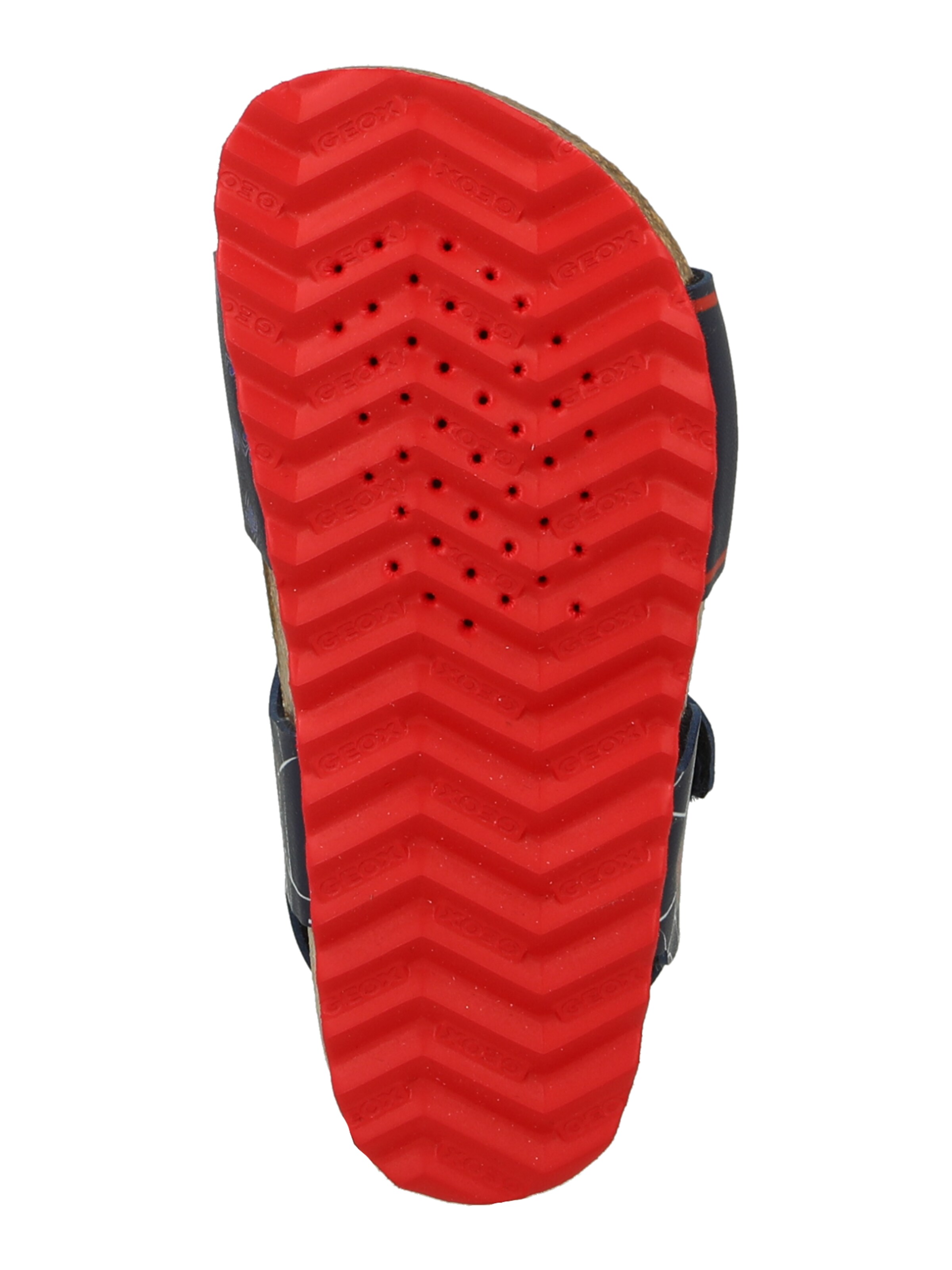 GEOX Open schoenen in Blauw