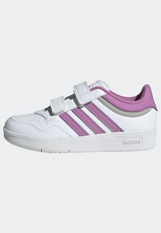 ADIDAS SPORTSWEAR Sneakers in White: front