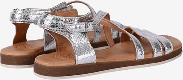 Apple of Eden Strap Sandals in Silver