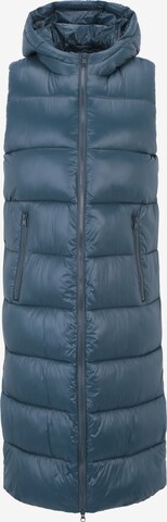 Cartoon Bodywarmer in Blauw: voorkant