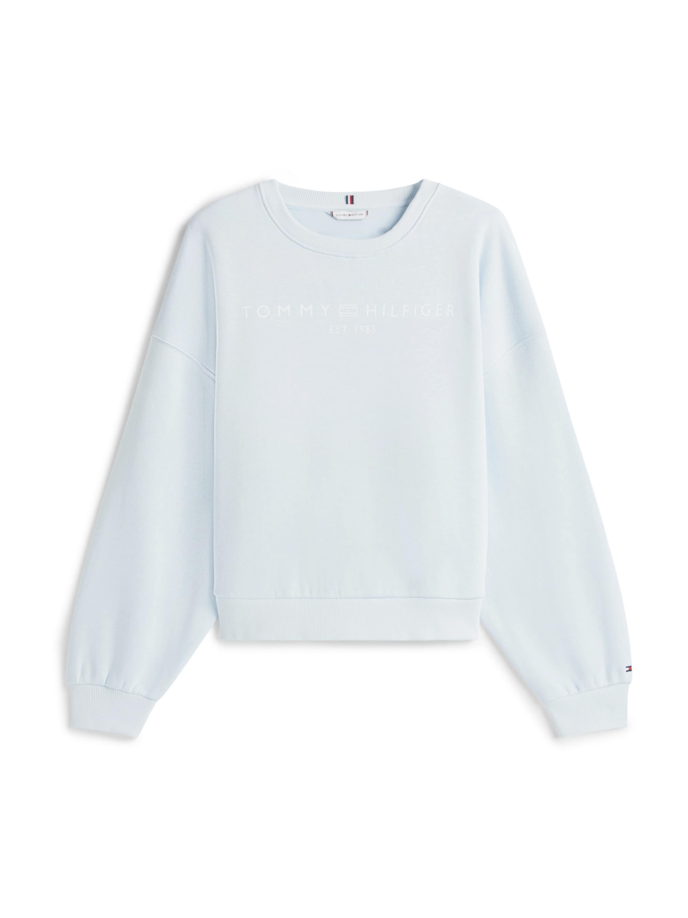 Tommy Hilfiger Curve - Sudadera en azul: frente