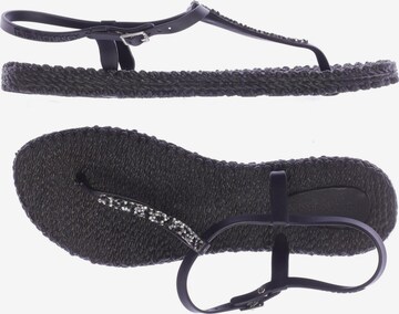 ILSE JACOBSEN Sandalen 41 in Schwarz: predná strana