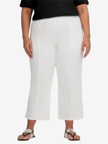 SHEEGO Wide leg Pleat-Front Pants in White: front